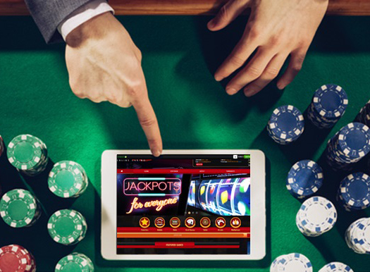 Discover the Thrills of Spindog Casino A Complete Guide