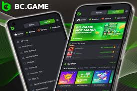Exploring the BC.Game Online Casino Platform A Comprehensive Overview