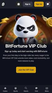 Why Players Use BNB The Benefits of Binance Coin in Gaming